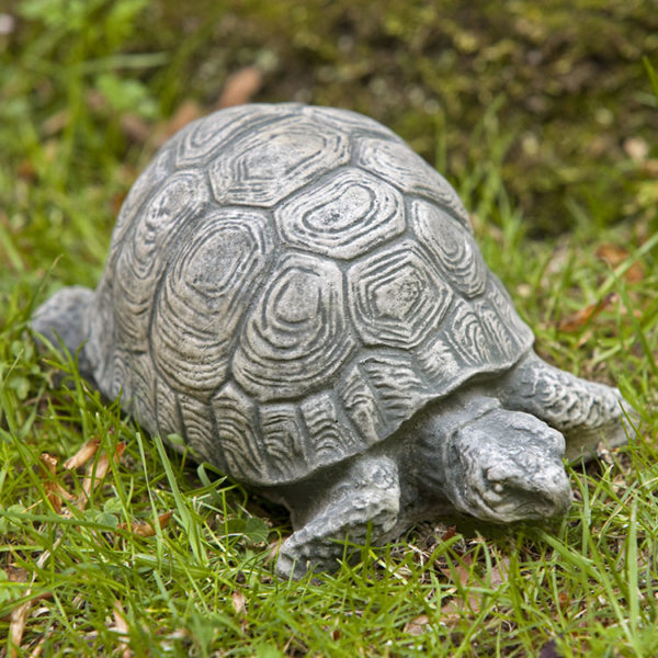 Small Turtle