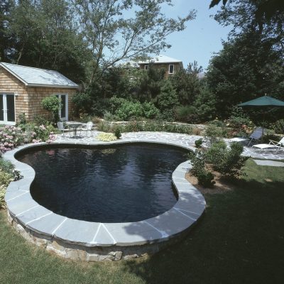 Backyard features a freeform pool, stone patio, lounge chairs, and lush greenery—ideal for relaxing.