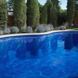 Curved outdoor pool with blue water, New Key Largo Tile/Sierra Floor, trees, and pool supplies nearby.