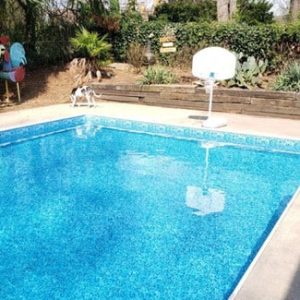 A sparkling pool in Long Island, NY features the Stone Jewel All Over Pattern and modern pool supplies.