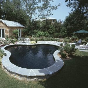 A backyard features a kidney-shaped pool, lounge chairs, and greenery, perfect for relaxing poolside.